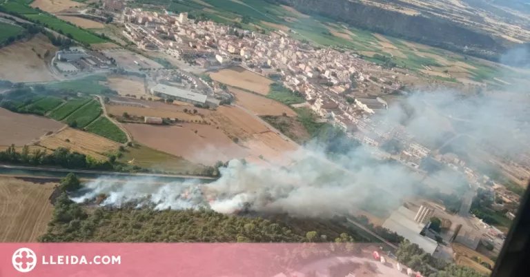 Incendi de vegetació a Artesa de Segre
