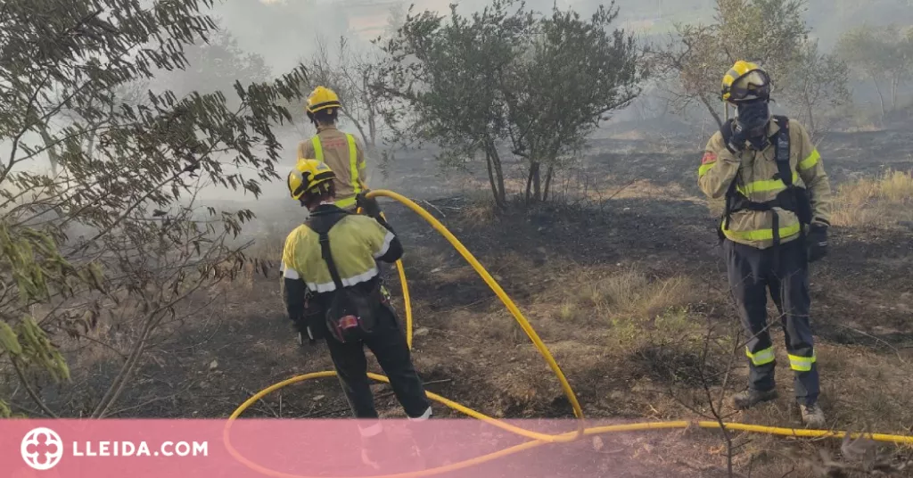 Incendi de vegetació a Artesa de Segre