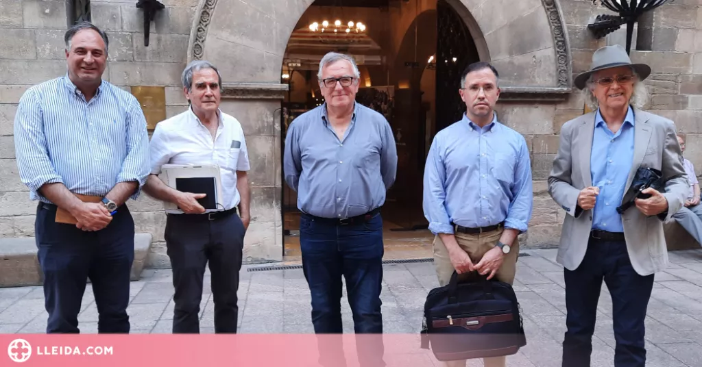 Alerten que hi ha trams de les muralles de la Seu Vella a punt de caure