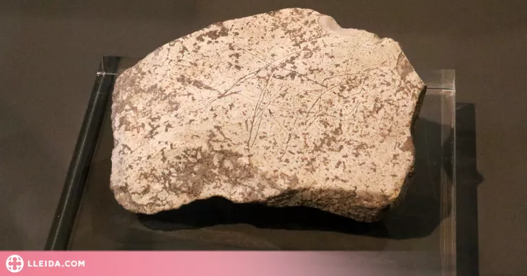 ⏯️ Descobreixen a la Cova Gran de Santa Linya una plaqueta de fa 14.000 anys amb gravats