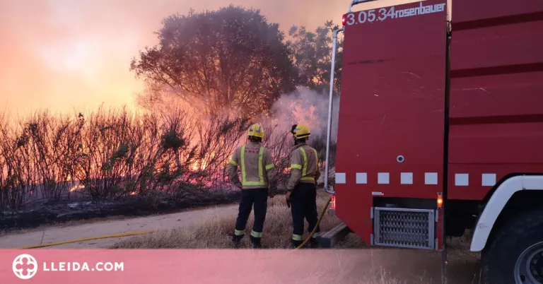 Un incendi crema 3 hectàrees a la Bordeta