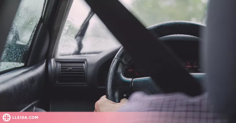 Un institut lleidatà oferirà el grau mitjà de Conducció de Vehicles de Transport per Carretera