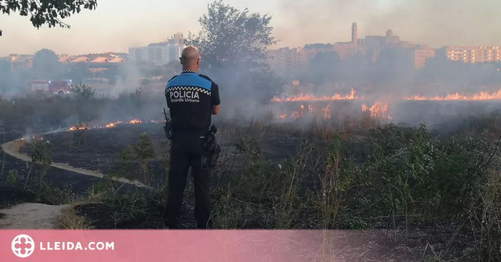 Un incendi crema 3 hectàrees a la Bordeta