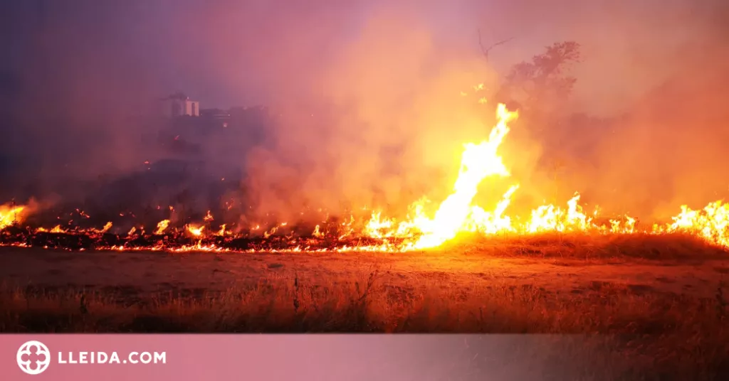 Detingut per incendiar cinc vehicles al Segrià