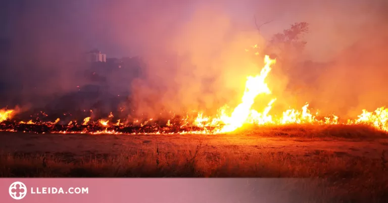 Detingut per incendiar cinc vehicles al Segrià