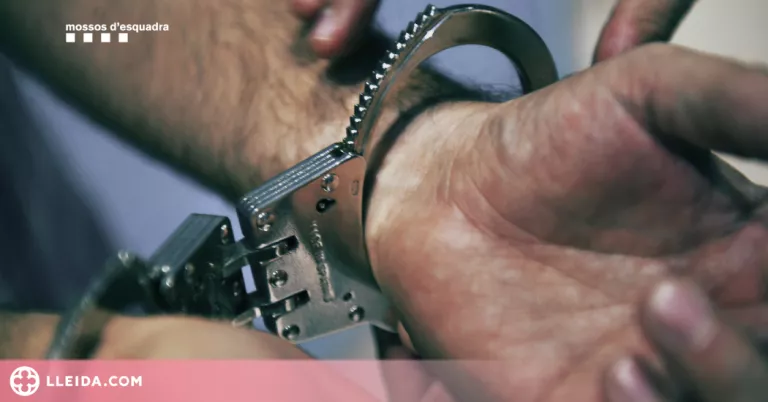 Detingut un home a la Seu d'Urgell per pornografia de menors