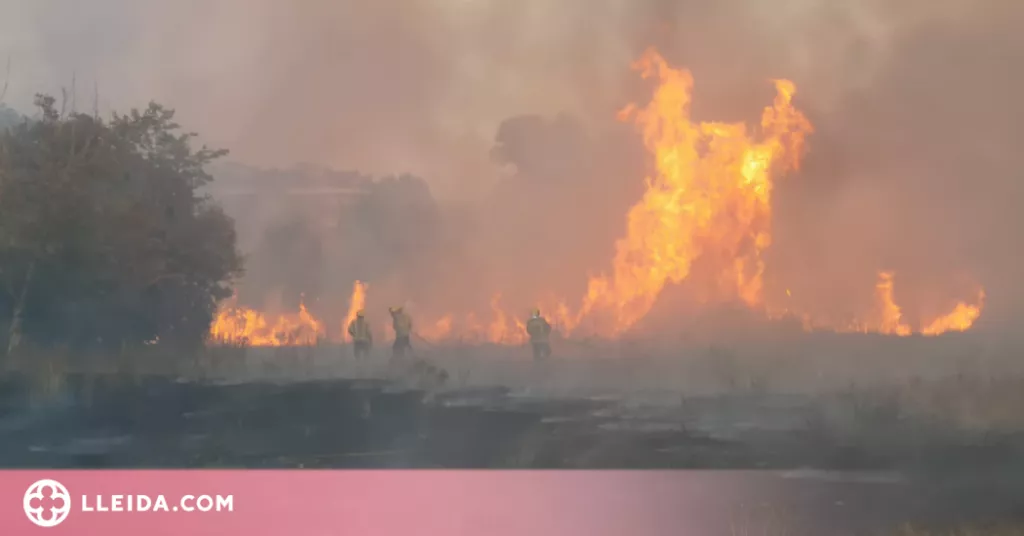 Un incendi crema 3 hectàrees a la Bordeta