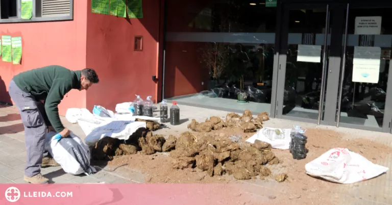 ⏯️ Unió de Pagesos aboca fems al Departament d'Acció Climàtica a Lleida