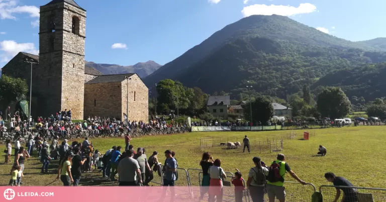 Tornen GURE Sheepdog trial i la Fira Ramadera de Barruera