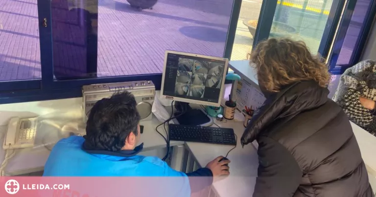 El Mercat Central de Lleida incrementa les mesures de seguretat