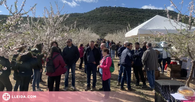 Segona Edició del vermut entre Ametllers Florits a Castelldans