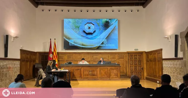 L’IEI convoca tres línies de subvencions locals d'un milió i mig d'euros