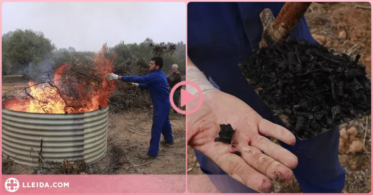 ⏯️ El Segrià Sec proposa produir biocarbó per netejar la massa forestal i millorar el sòl agrari
