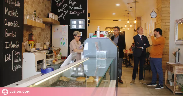 Unes 2.000 pimes i autònoms de Lleida ja s’han beneficiat del Kit Digital