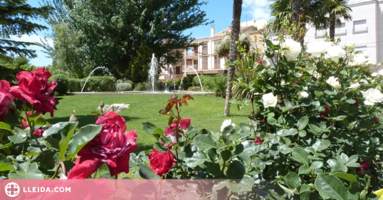 El primer concurs 'Borges en flor' premiarà els millors balcons engalanats