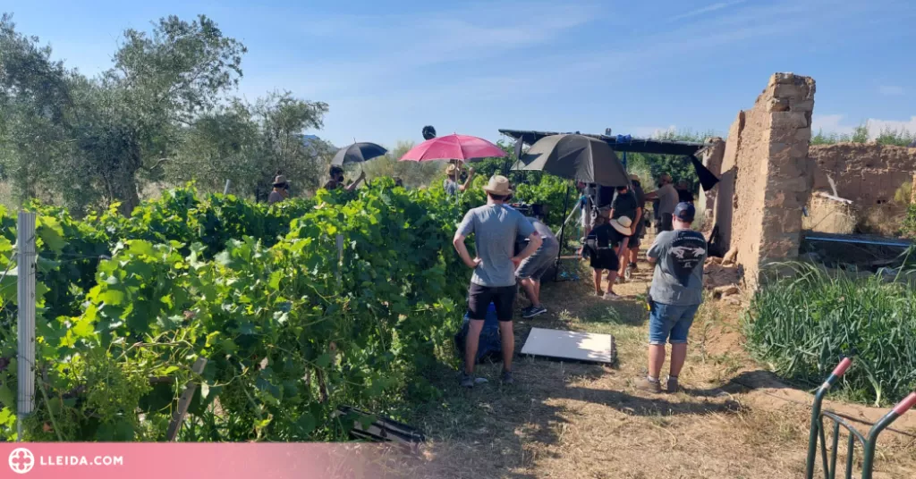 La preestrena d' 'Alcarràs', un homenatge a la pagesia en moments difícils per les gelades