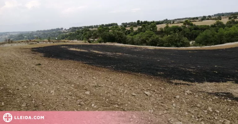 Crema una hectàrea de vegetació agrícola a la Segarra