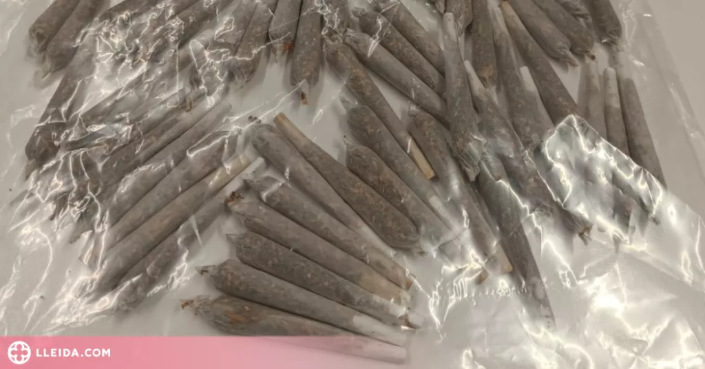 Detinguda per vendre droga en un edifici del Centre Històric de Lleida
