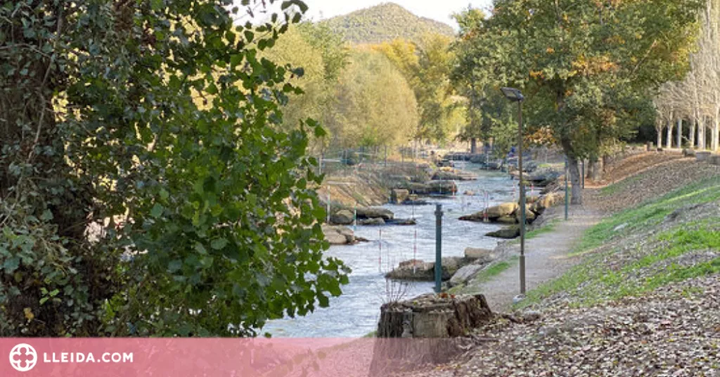 ⏯️ El Consorci Segre Rialb presenta una trentena de propostes als fons Next Generation