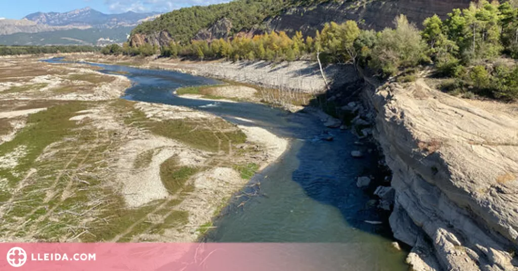 ⏯️ El Consorci Segre Rialb presenta una trentena de propostes als fons Next Generation