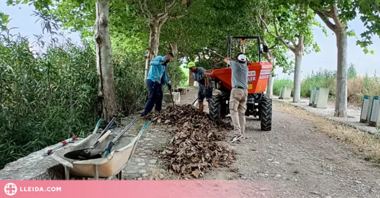 Balaguer contracta nou persones aturades majors de 52 anys per afavorir la seva inserció laboral