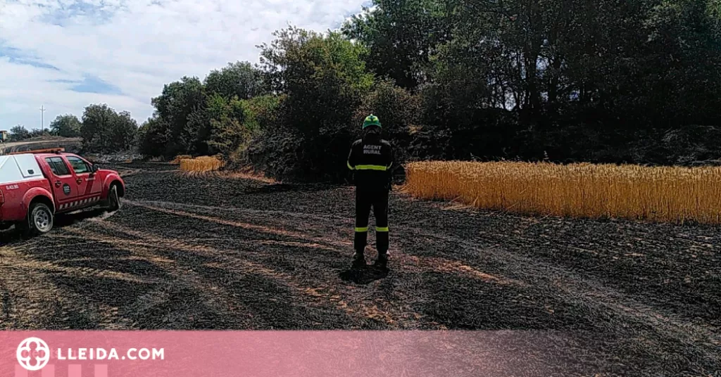 Els Bombers demanen evitar l'activitat al medi natural davant l'onada de calor