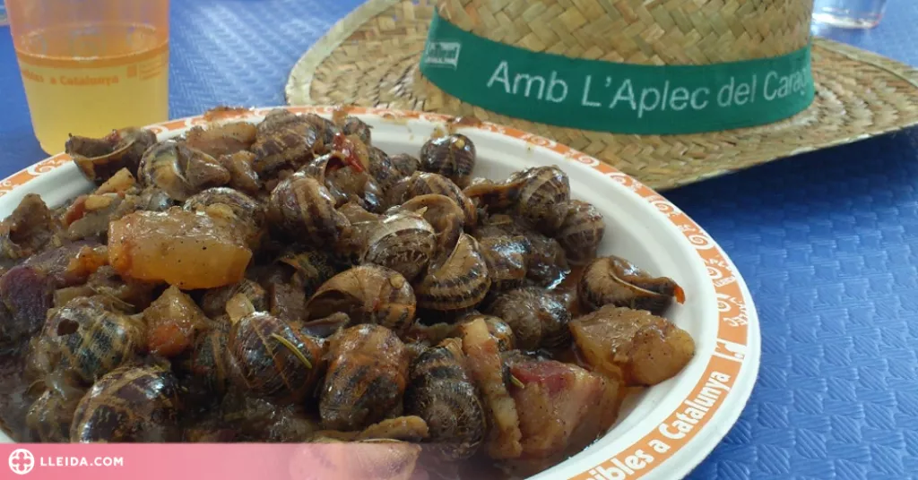 L'Aplec 2022 posa a la venda els paquets de visitant oficial