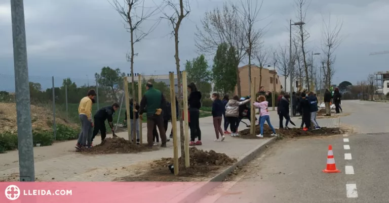 Alumnes de Primària planten arbres als carrers del seu barri