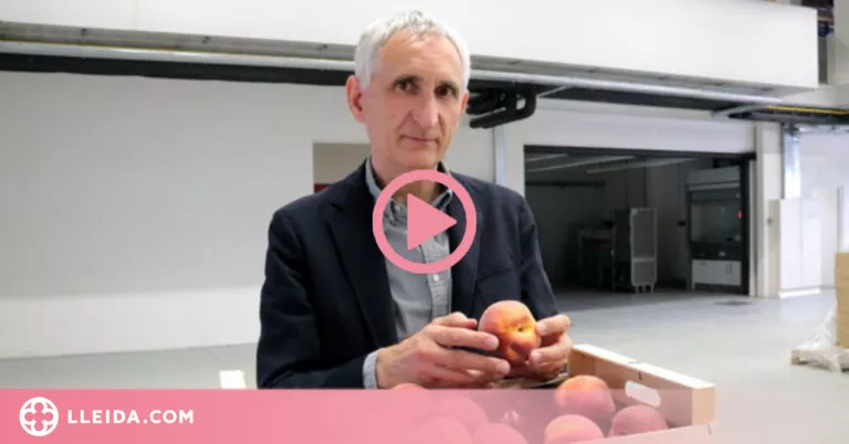 ⏯️ Josep Usall (IRTA): "No es pot fer producció agrària que no sigui en l'àmbit de la sostenibilitat"
