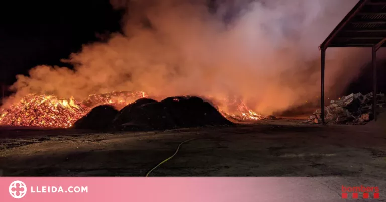 Incendi sense ferits en una empresa de Bell-lloc d'Urgell