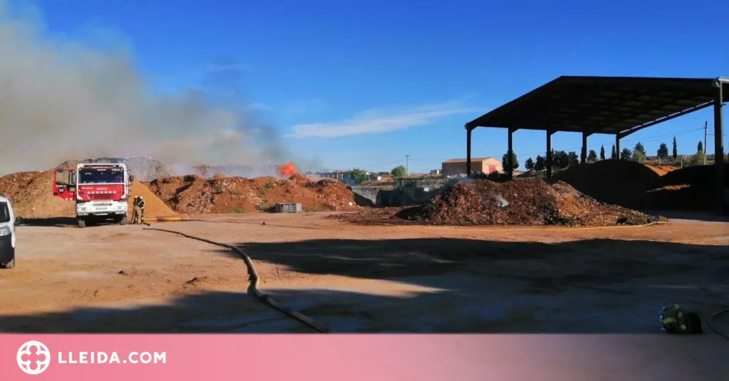 Incendi sense ferits en una empresa de Bell-lloc d'Urgell