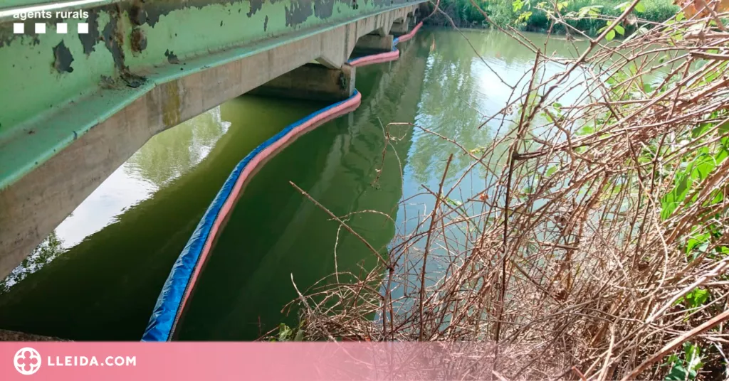 ⏯️ Un abocament d'hidrocarbur al canal de Seròs deixa més de 25 pobles sense aigua de boca