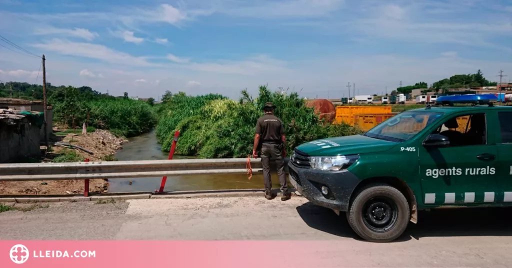 ⏯️ Un abocament d'hidrocarbur al canal de Seròs deixa més de 25 pobles sense aigua de boca