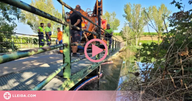 ⏯️ Un abocament d'hidrocarbur al canal de Seròs deixa més de 25 pobles sense aigua de boca