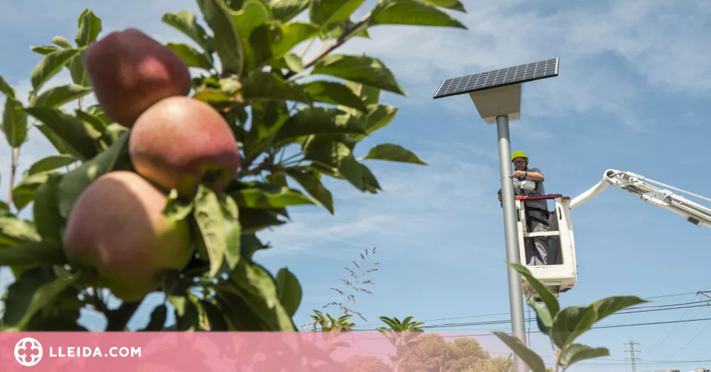 ⏯️ La Paeria instal·la les primeres càmeres a l’Horta per combatre robatoris