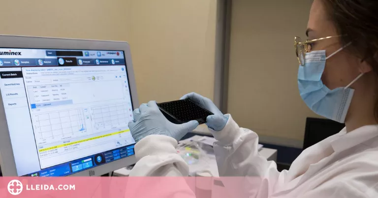Els anticossos es mantenen estables i augmenten mesos després de contagiar-se de covid-19