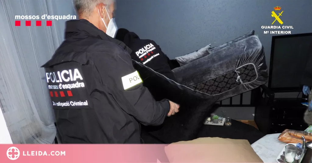 ⏯️ 29 detinguts de tres clans que distribuïen cocaïna, heroïna i marihuana des de Balaguer