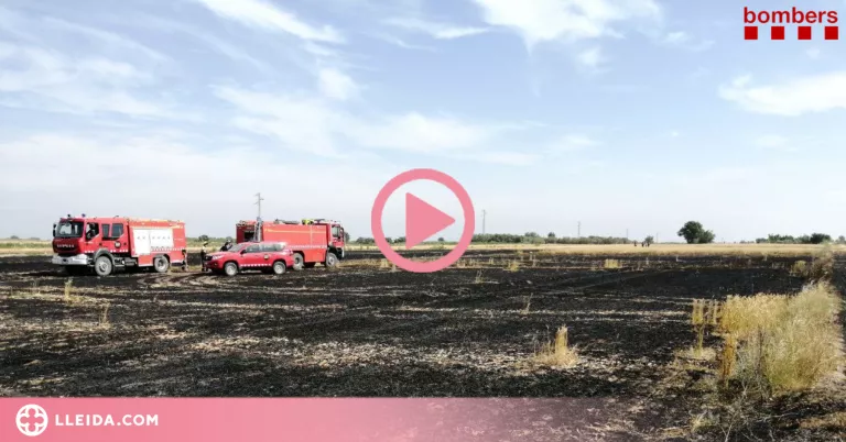 ⏯️ Extingit un incendi de vegetació a l'Urgell