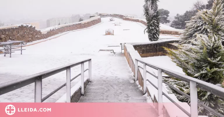⏯️ Consells per protegir-nos de nevades i glaçades