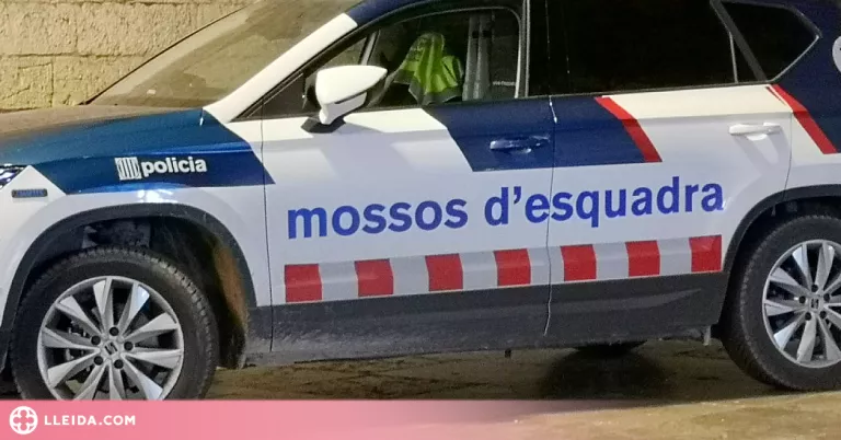 Un dispositiu de seguretat ciutadana a Lleida finalitza amb dos detinguts, nou denúncies i 79 identificats