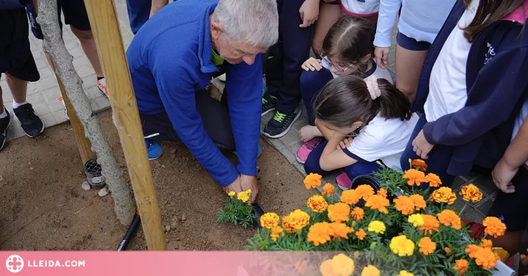 Plantació d’escocells a Lleida amb alumnes dels Maristes