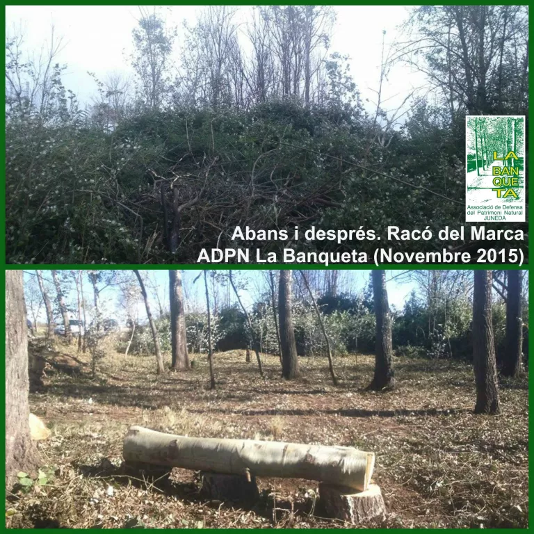 Recuperen el Bosquet del Racó del Marca