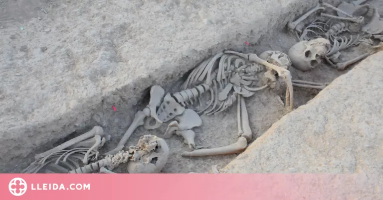 Recuperen les restes òssies de 26 soldats republicans a Bovera