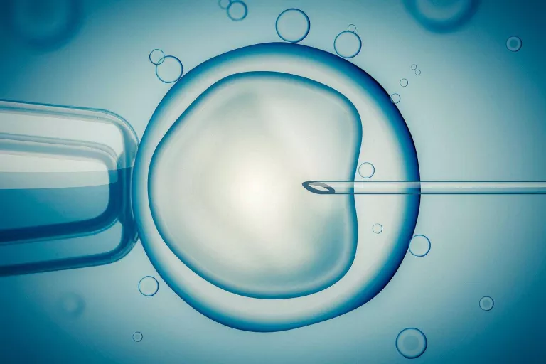 En què consisteix i com d'eficaç és la inseminació artificial?