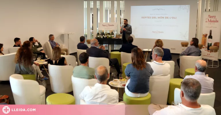 ⏯️ Les darreres pluges són insuficients per les oliveres de la DOP les Garrigues