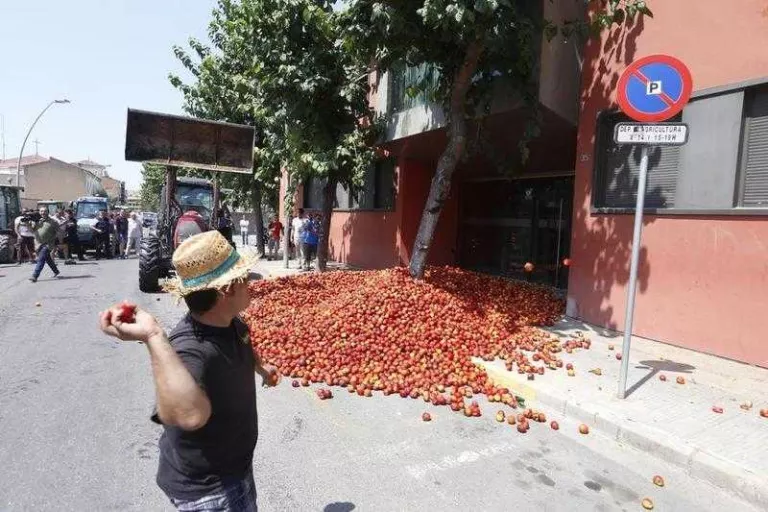 Afrucat reclama poder retirar més préssecs i nectarines per recuperar els preus