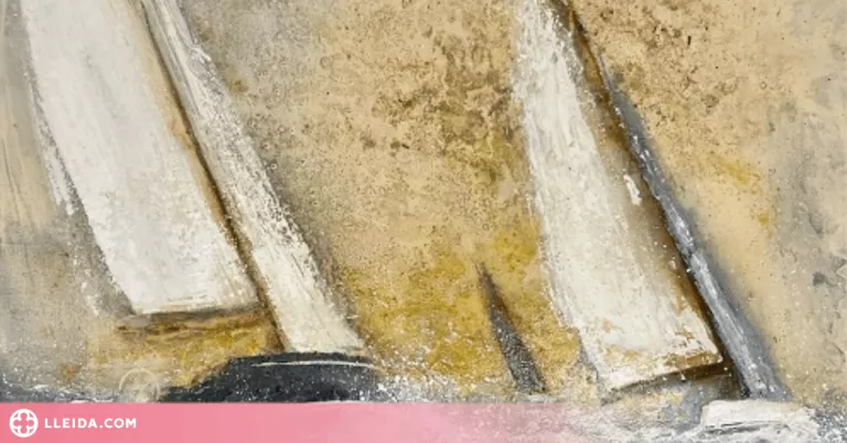 Enric Aguilar apropa Lleida al mar amb l'exposició ‘Del Meditarrani al Segre"
