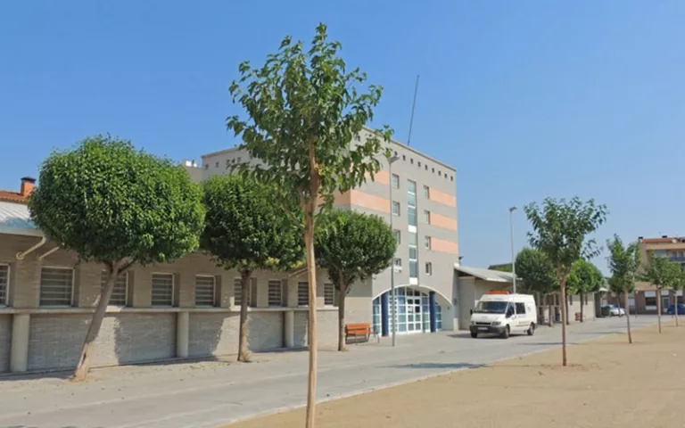 Brot de sarna a Balaguer