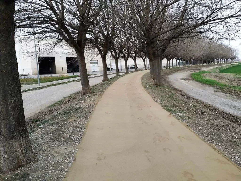 Mollerussa pavimenta amb sauló un tram del camí de la tercera séquia del Canal d'Urgell
