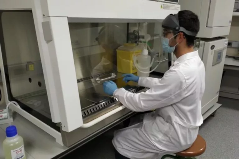 Laboratori de la UdL per ajudar en les recerques sobre la COVID-19
